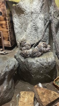 こども動物自然公園（埼玉県公園緑地協会）に投稿された画像（2025/9/23）