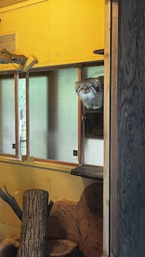 こども動物自然公園（埼玉県公園緑地協会）に投稿された画像（2025/9/23）