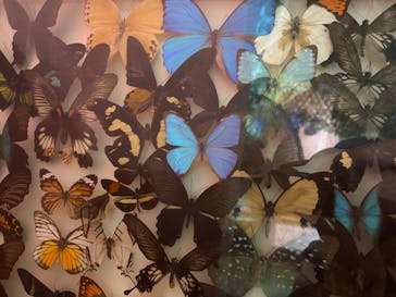 千葉こどもの国 キッズダムに投稿された画像（2025/9/23）