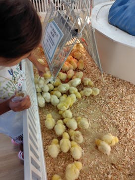 アニタッチ MARK IS 静岡に投稿された画像（2025/9/23）