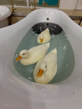 アニタッチ MARK IS 静岡に投稿された画像（2025/9/23）