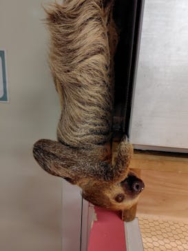 アニタッチ MARK IS 静岡に投稿された画像（2025/9/23）