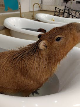 アニタッチ MARK IS 静岡に投稿された画像（2025/9/23）