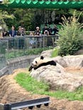 恩賜上野動物園に投稿された画像（2025/9/23）