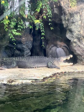恩賜上野動物園に投稿された画像（2025/9/23）