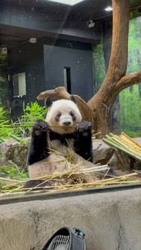 恩賜上野動物園に投稿された画像（2025/9/23）