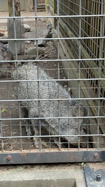 恩賜上野動物園に投稿された画像（2025/9/23）