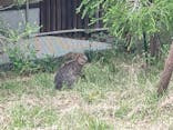 こども動物自然公園（埼玉県公園緑地協会）に投稿された画像（2025/9/23）