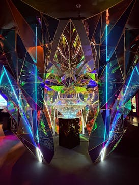 NARA KINGYO MUSEUMに投稿された画像（2025/9/23）