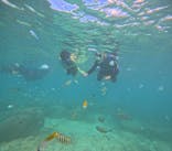 沖縄マリンサービス碧に投稿された画像（2025/9/23）