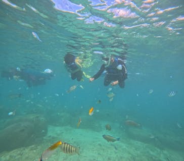 沖縄マリンサービス碧に投稿された画像（2025/9/23）