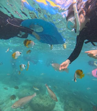 沖縄マリンサービス碧に投稿された画像（2025/9/23）