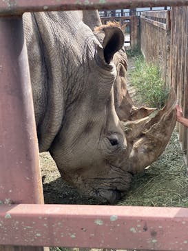 那須サファリパークに投稿された画像（2025/9/23）