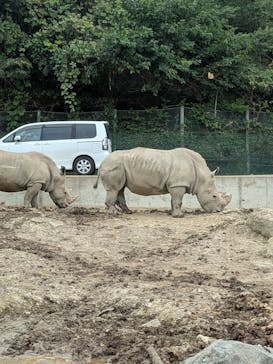 群馬サファリパークに投稿された画像（2025/9/23）