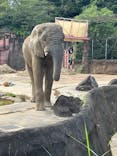 多摩動物公園に投稿された画像（2025/9/23）