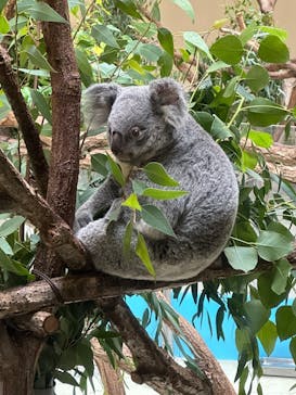 多摩動物公園に投稿された画像（2025/9/23）
