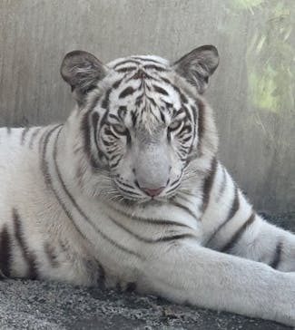 伊豆アニマルキングダムに投稿された画像（2025/9/23）