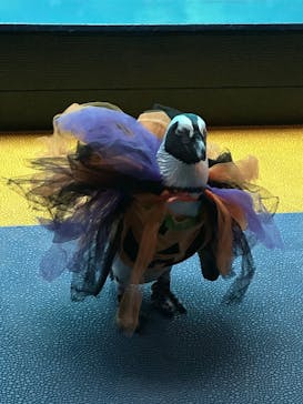 箱根園水族館に投稿された画像（2025/9/23）