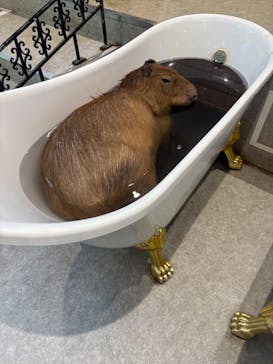 アニタッチ 東京ドームシティに投稿された画像（2025/9/23）