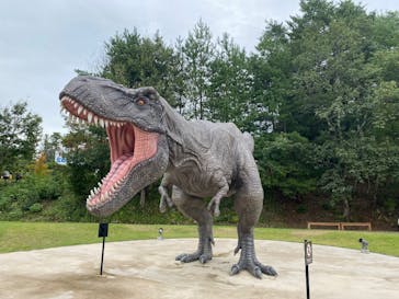 福井県立恐竜博物館に投稿された画像（2025/9/23）