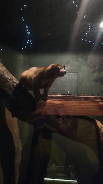 名古屋市東山動植物園に投稿された画像（2025/9/23）