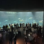 葛西臨海水族園に投稿された画像（2025/9/23）