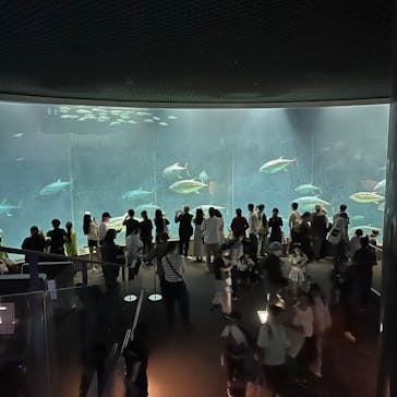 葛西臨海水族園に投稿された画像（2025/9/23）