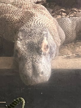 名古屋市東山動植物園に投稿された画像（2025/9/23）