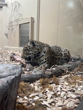 名古屋市東山動植物園に投稿された画像（2025/9/23）