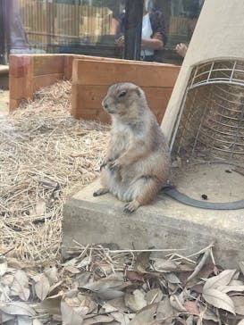 名古屋市東山動植物園に投稿された画像（2025/9/23）