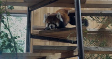 名古屋市東山動植物園に投稿された画像（2025/9/23）