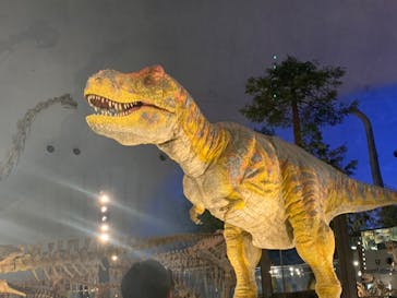 福井県立恐竜博物館に投稿された画像（2025/9/23）