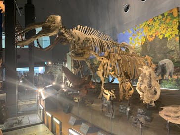 福井県立恐竜博物館に投稿された画像（2025/9/23）