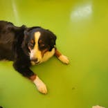 つくばわんわんランドに投稿された画像（2025/9/23）