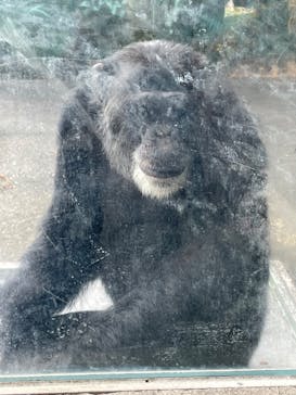 伊豆シャボテン動物公園に投稿された画像（2025/9/23）