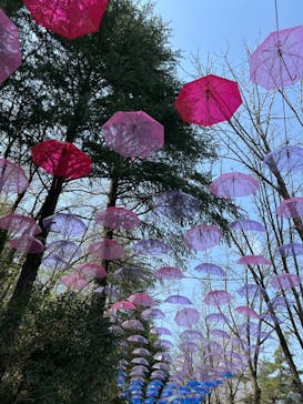 ムーミンバレーパークに投稿された画像（2025/9/23）