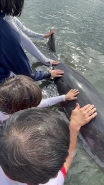 日間賀島ドルフィンビーチに投稿された画像（2025/9/23）