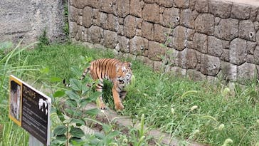 天王寺動物園に投稿された画像（2025/9/23）