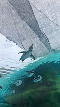 天王寺動物園に投稿された画像（2025/9/23）