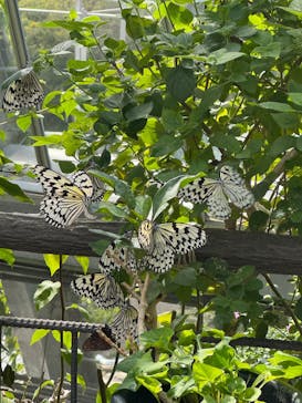 多摩動物公園に投稿された画像（2025/9/23）