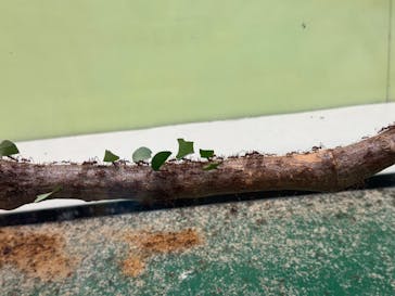 多摩動物公園に投稿された画像（2025/9/23）