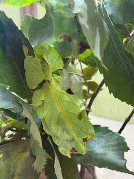 多摩動物公園に投稿された画像（2025/9/23）