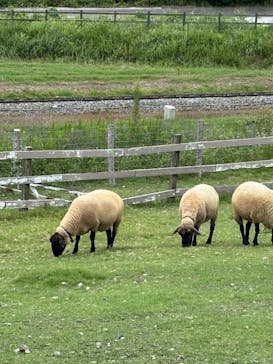 EnglishGardenローザンベリー多和田に投稿された画像（2025/9/23）