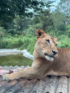 東京動物園協会_多摩動物公園に投稿された画像（2025/9/23）