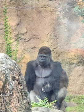 恩賜上野動物園に投稿された画像（2025/9/23）