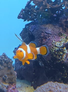 葛西臨海水族園に投稿された画像（2025/9/23）