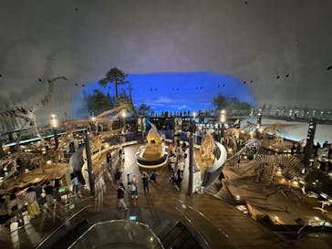 福井県立恐竜博物館に投稿された画像（2025/9/23）