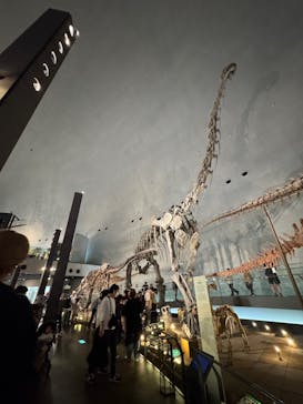 福井県立恐竜博物館に投稿された画像（2025/9/23）