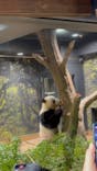 恩賜上野動物園に投稿された画像（2025/9/23）