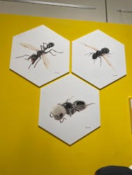 特別展 『昆虫 MANIAC』に投稿された画像（2025/9/23）